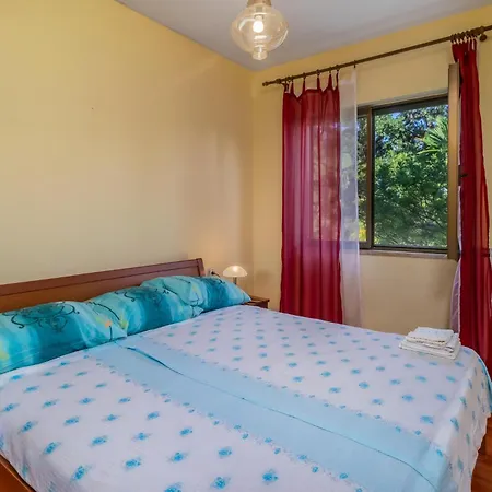 Cozy In With Kitchen Appartement *